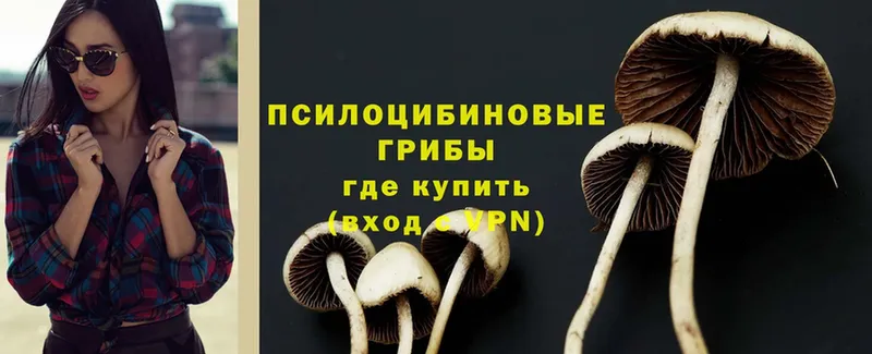 Галлюциногенные грибы Magic Shrooms  купить наркотики цена  Зея 